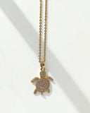 Collar Tortuga