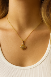 Collar Concha Marina