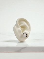Arete Tiny Panda