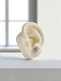 Arete Topo Cirel