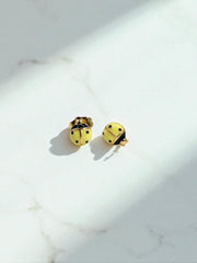 Arete Sunny Bug 🐞