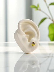 Arete Sunny Bug 🐞