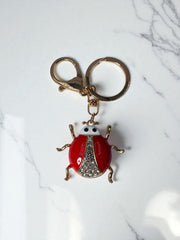 Llacero Mariquita Circón