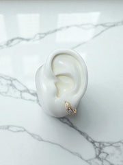 Candonga Flor Sonatta