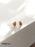 Arete topo Aria