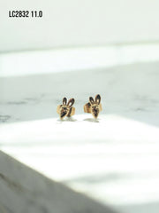 Arete topo Carrot and Bunny