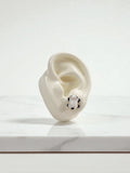 Arete Tiny Panda