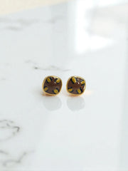 Arete Topo Cyrella
