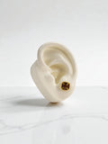 Arete Topo Cyrella