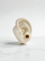 Arete Topo Cyrella