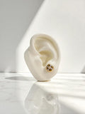 Arete Topo Eira