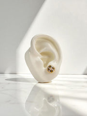 Arete Topo Eira