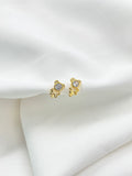 Arete candonga bear