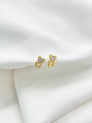 Arete candonga bear