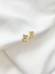Arete candonga bear