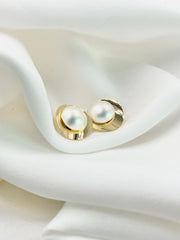 Arete topo pure