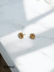 Arete topo Oliva