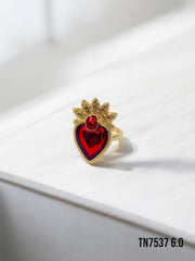 Anillo Merit