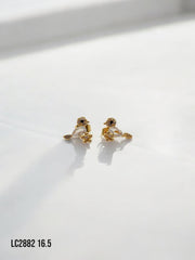 Arete topo Amelia