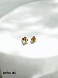 Arete topo Grace