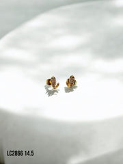 Arete topo Grace