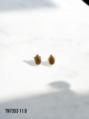 Arete topo Stella