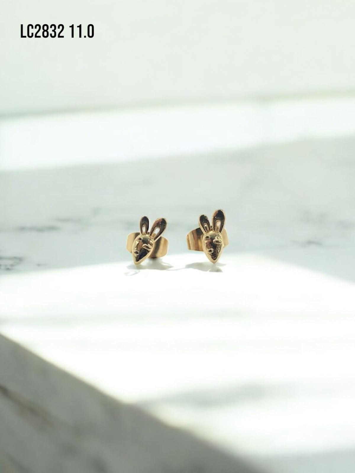 Arete topo Carrot and Bunny