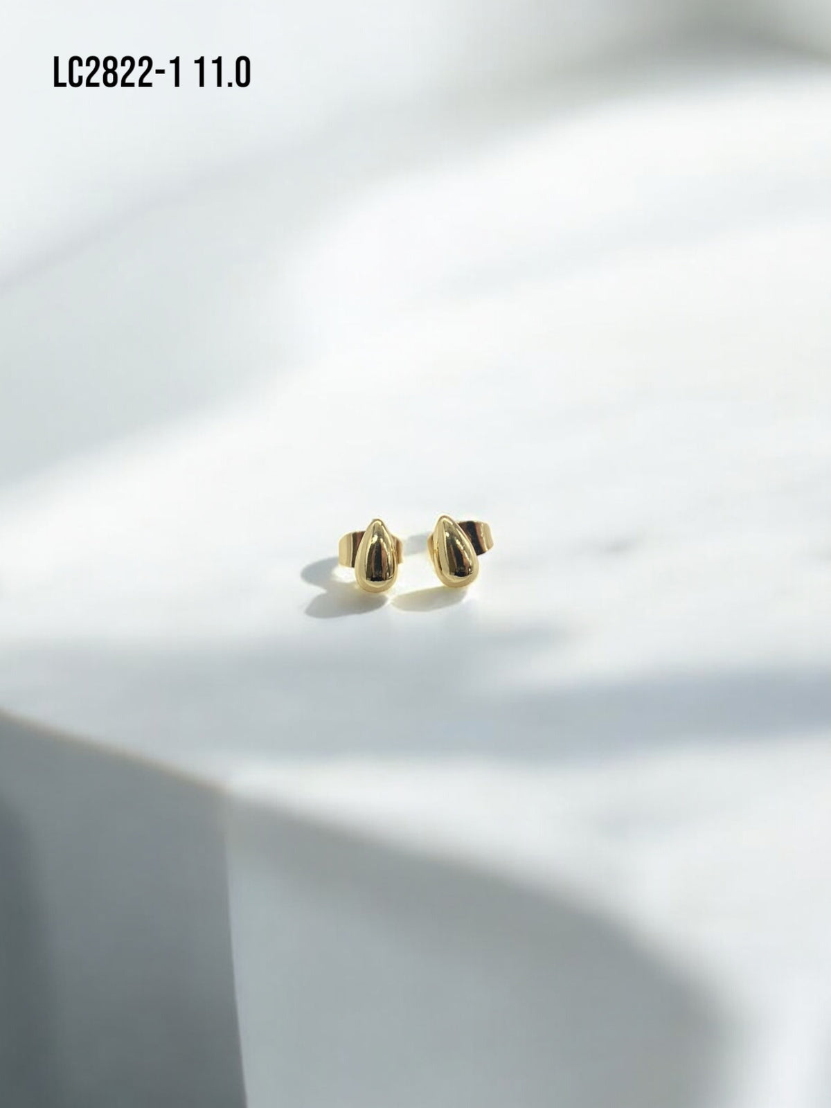 Arete topo Pippa