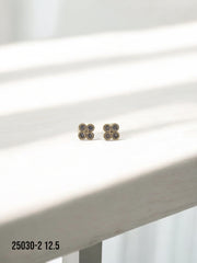 Arete topo Ziggy