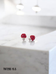 Arete topo Mushroom