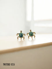 Arete topo turtle