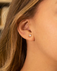 Set Gargantilla Siena Glow