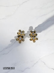 Arete topo Hazel