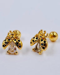 Topo de Seguridad Mariquita