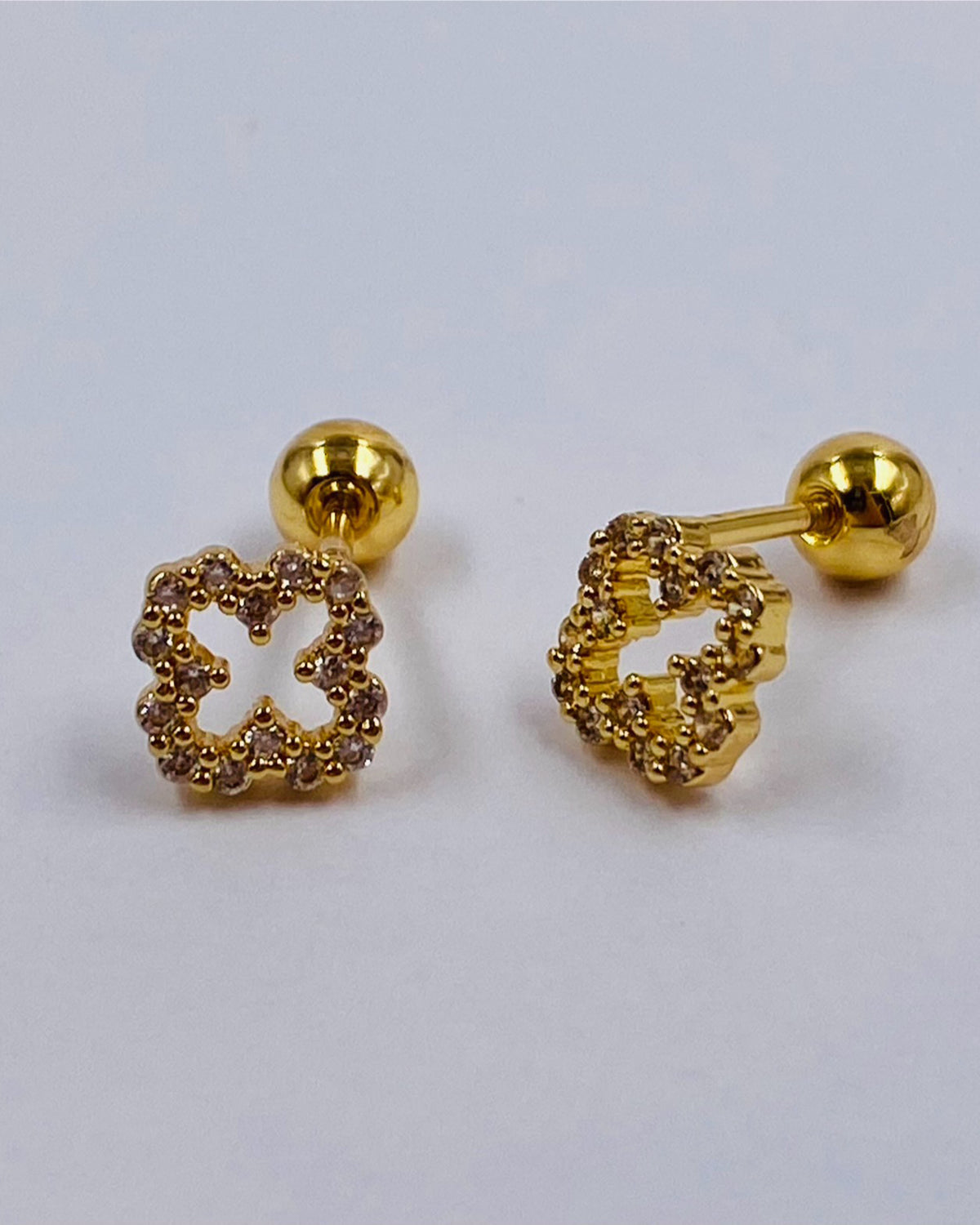 Topo de Seguridad Trébol