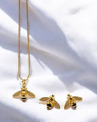 Set Perrito Salchicha